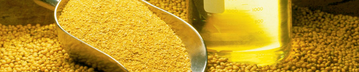 Refined Soya Oil Trading Tips Provider from India