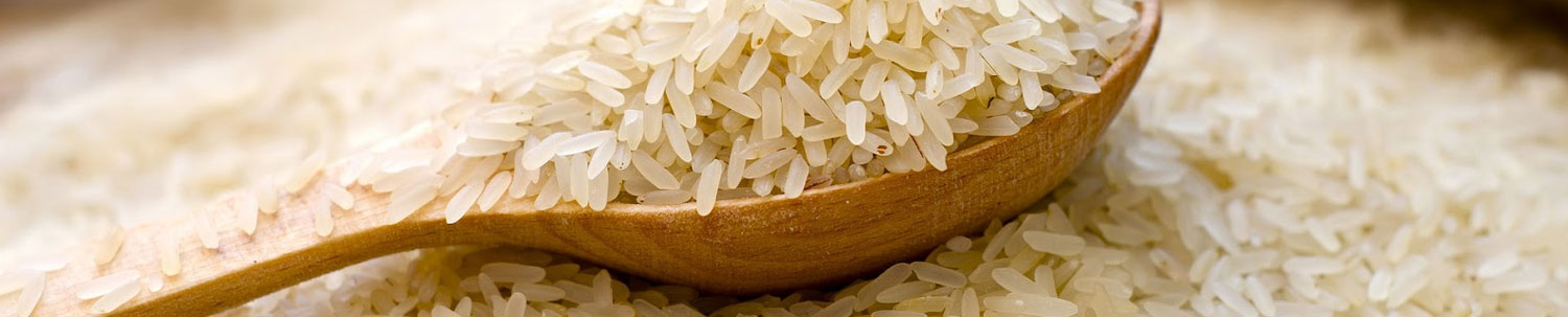 Sharbati Rice Trading Tips Provider from India